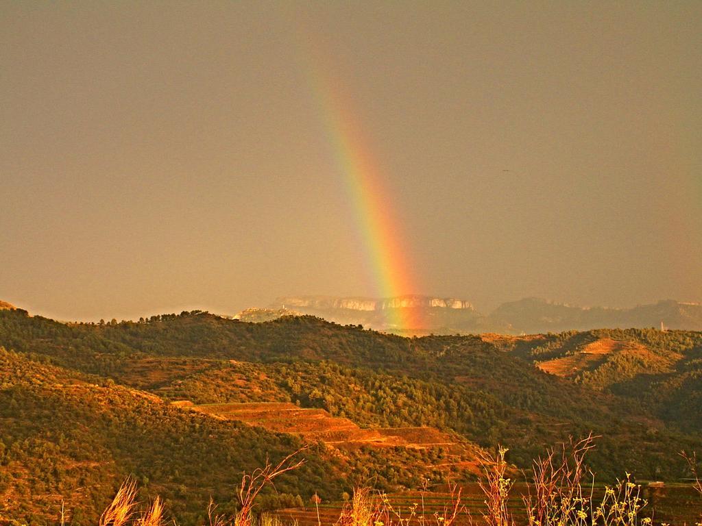 Cal Viola Appartamento Torroja